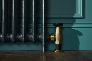 Close-up of an Emmeline I cast iron radiator in Midnight Ink with a brass angled valve, against a teal panelled wall on a dark wood floor.