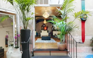 Doorway flanked by tall palms in pots, steps with iron handrails leading to a living room with chandeliers, a white armchair and a rug.