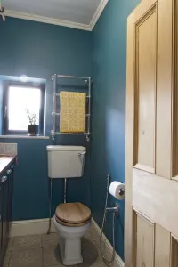 Wall-mounted Elara chrome towel rail with a yellow towel above a high-level cistern toilet in a teal cloakroom beside a window.