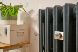 Close-up of a dark grey Grace 4 Column cast iron radiator with a brushed nickel Whitworth stay, beside a pink tin trunk and a potted plant.