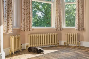 Three Emmeline I 465mm cast iron radiators in a pale cream finish with brass valves, on feet beneath a bay window, a dog asleep on the floorboards.