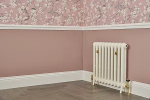 Princess style cast iron radiator made to measure radiator
