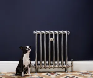 Emmeline I 665mm cast iron radiator in Full Polish with Windsor thermostatic radiator valves and Margot the dog.