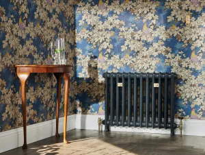 Princess style cast iron radiator made to measure radiator