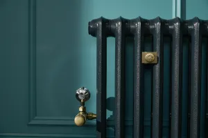 Princess style steam radiator made to measure for one-pipe steam