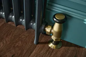 Princess style cast iron radiator made to measure radiator