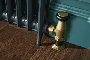 Princess style steam radiator made to measure for one-pipe steam