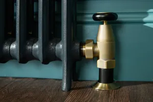 Princess style cast iron radiator made to measure radiator
