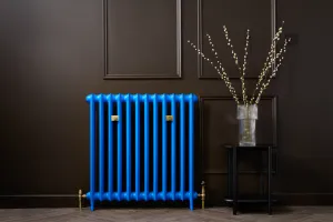 Princess style cast iron radiator made to measure radiator