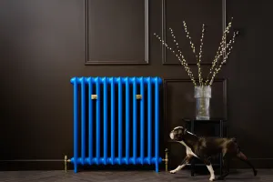 Princess style cast iron radiator made to measure radiator