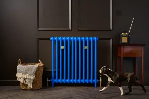 Princess style cast iron radiator made to measure radiator