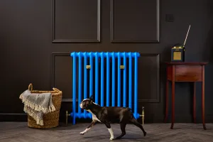 Emmeline I 865mm cast iron radiator in Benjamin Moore Evening Blue with Margot the dog