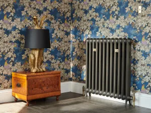 Princess style cast iron radiator made to measure radiator