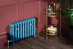 cast iron radiator with ornate radiator valve