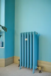 A six-section Emmeline III cast iron radiator in light blue on feet, with brass valves, against a blue wall above a carpeted floor.
