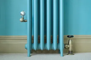 Emmeline III cast iron radiator on feet in a light blue finish against a matching blue wall, with antique brass valves and a beige skirting board.