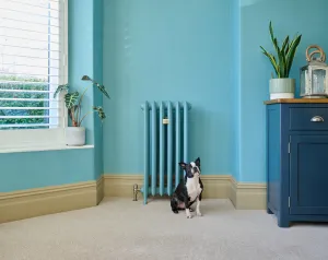 Emmeline III 870mm cast iron radiator painted to match a turquoise wall, with a brass valve, beside a seated Boston terrier on cream carpet.