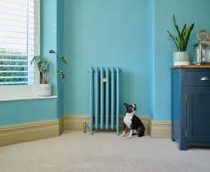 Emmeline III cast iron radiator in Paint and Paper Library Blue Gum