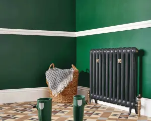 Emmeline I 665mm cast iron radiator