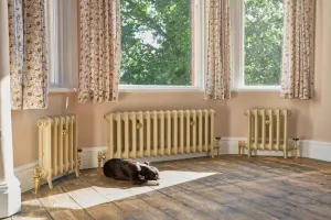 Three pale gold Emmeline cast iron radiators on feet with brass valves beneath a bay window, a dog lying on bare floorboards.