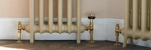 Bespoke cast iron radiators in Paint & Paper Library Truffle