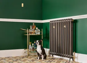 cast iron radiator with ornate radiator valve