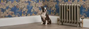 Emmeline I 465mm cast iron radiator in Grey Bronze on feet with brass valves, beside a Boston terrier against bird and vine wallpaper.