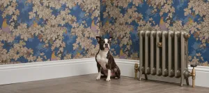 Emmeline I 465mm cast iron radiator in Grey Bronze on feet with brass valves, beside a seated dog against bird-patterned blue wallpaper.