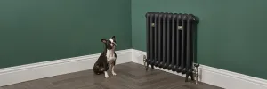 Emmeline I cast iron radiator in Matt Black on feet with nickel valves, against a green wall above a parquet floor, a small dog sitting nearby.
