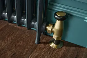 Close-up of an Emmeline cast iron radiator foot in Midnight Ink with a brass angled valve and black head, by a teal skirting on a wooden floor.