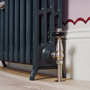 Close-up of a Grace 4 Column cast iron radiator in Anthracite on feet, with a Windsor thermostatic valve in satin nickel beside a white skirting board.