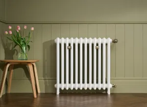 Plain Grace 4 Column cast iron radiator in Bright White on feet, with brass valve and wall stays, against sage panelling on a parquet floor.