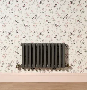 Grace 6 Column 485mm cast iron radiator in Quartz Grey with Natural Brass Chatsworth valves, wall-hung on bird-print wallpaper above pink skirting.