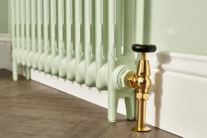 2 column cast iron radiator in Farrow & Ball paints
