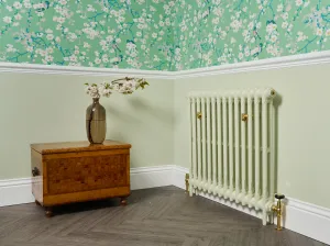 2 column cast iron radiator in Farrow & Ball paints