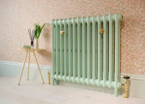 Mercury 2 Column 760mm cast iron radiator finished in Little Greene Peagreen alongside Castrads' Unlacquered Brass accessories