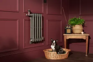 Wall hung cast iron radiator