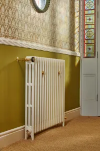 Plain Mercury 3 column cast iron radiator on feet in Lime White with a brass Windsor valve, below a dado rail on an olive wall by stained glass.