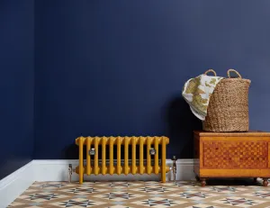 Cast iron radiator in Paint and paper library muga