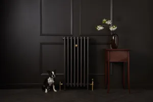 Mercury 4 Column 960mm cast iron radiator in Matt Black with Margot the dog.