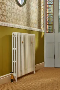 Plain Mercury 3 Column cast iron radiator on feet in Lime White with a brass angled valve, below an olive dado wall beside a stained-glass door.