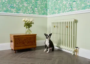 Plain Mercury cast iron radiator in pale green on feet, with brass wall stays and valve, beside a Boston terrier on a herringbone floor.