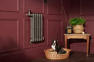 Wall-hung Mercury 3 Column cast iron radiator in a dark metallic finish with a nickel valve, on a burgundy panelled wall beside a dog in a wicker basket.