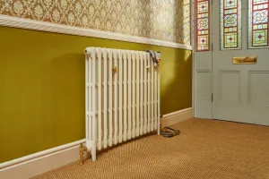 Plain three-column Mercury radiator in Lime White on feet, with a brass Windsor valve, in a hallway with green walls and a stained glass door.