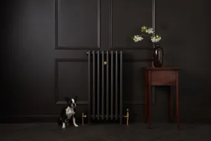 A tall plain Mercury 4 Column 960mm cast iron radiator in a dark bronze finish with brass valves, beside a dog and a side table with blossom.