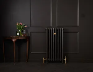 Plain Mercury 4 Column 960mm cast iron radiator in a dark finish with brass valves, against a panelled wall beside a console table with tulips.