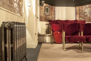 Ornate Rococo III cast iron radiator in Full Polish on feet beside cream panelling, facing red velvet cinema seats in a brick-walled room.