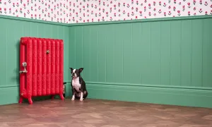Ornate Rococo II cast iron radiator on feet in Benjamin Moore Heritage Red HC181, beside green panelling, parquet floor and a seated Boston terrier.