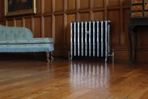 Ornate Rococo II cast iron radiator on feet, dark with polished raised pattern, brass valves, by oak panelling and a blue chaise longue.