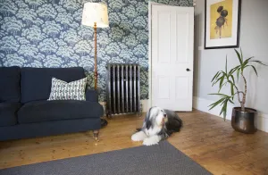 Ornate Rococo III cast iron radiator in Satin Polish on feet against tree-print wallpaper, beside a navy sofa, with a sheepdog on wooden floorboards.